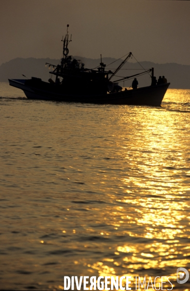 Malaisie, paradis en mer de Chine