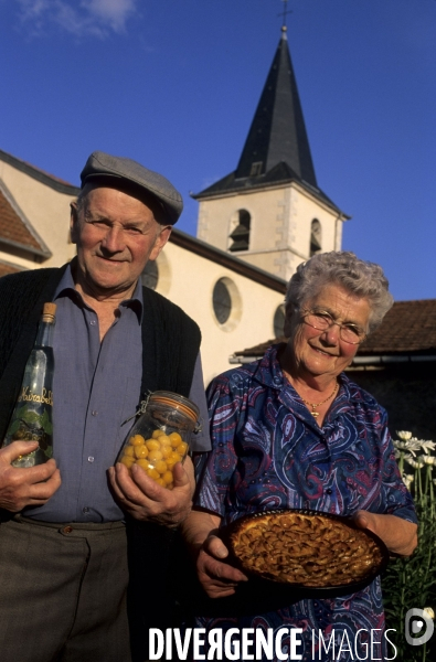 La mirabelle de Lorraine