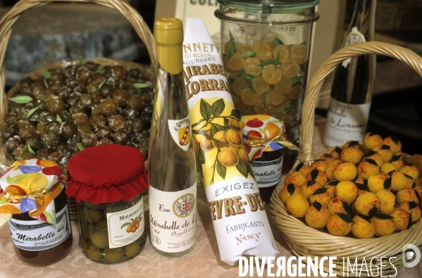 La mirabelle de Lorraine