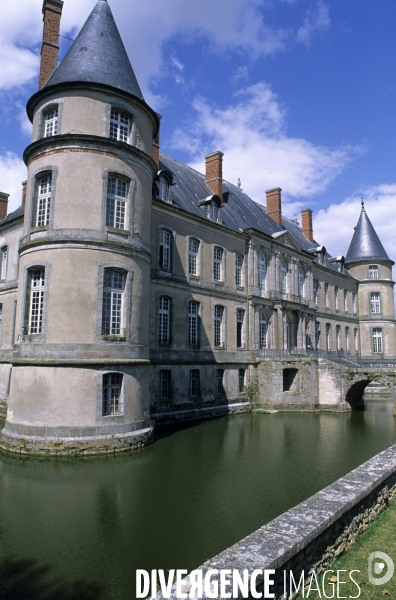 La mirabelle de Lorraine