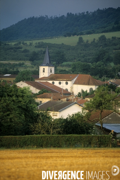 La mirabelle de Lorraine