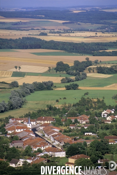 La mirabelle de Lorraine