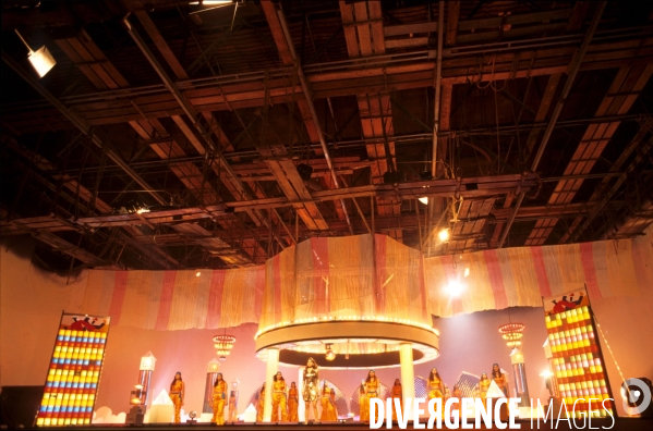 Bollywood : L   Inde fait son cinema