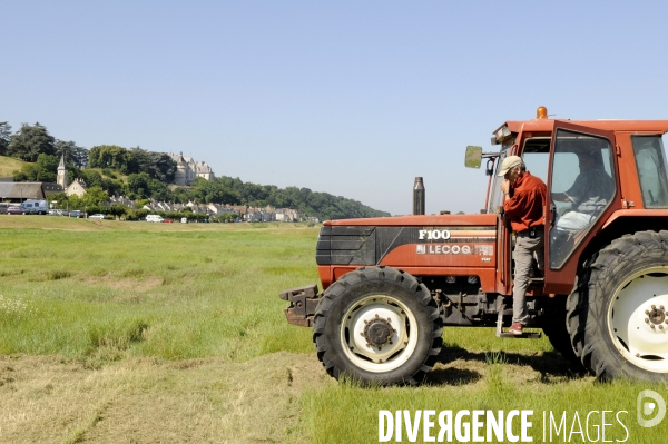 Jacques Simon, paysagiste du land art