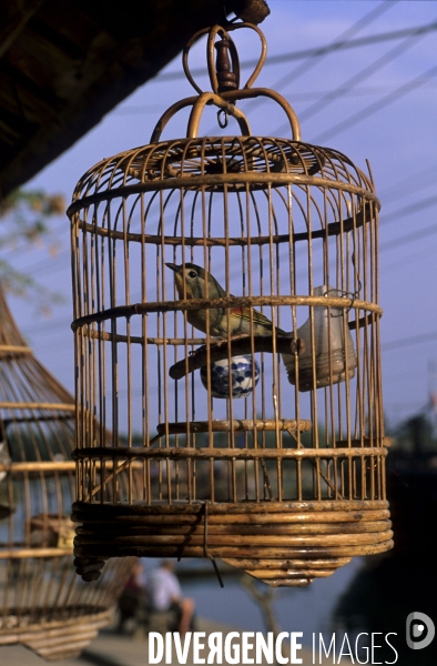 Hoi An , le Vietnam preserve