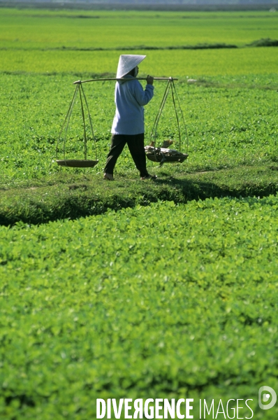 Hoi An , le Vietnam preserve