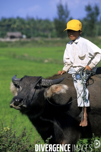 Hoi An , le Vietnam preserve