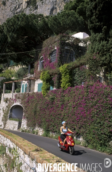 Ile de Capri