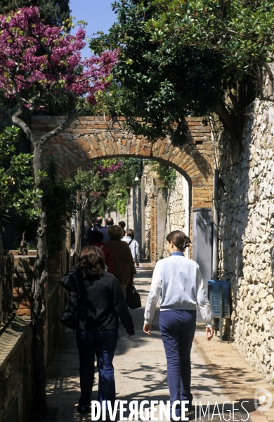 Ile de Capri