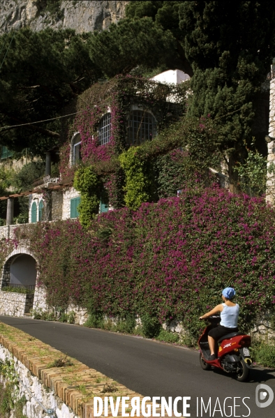 Ile de Capri