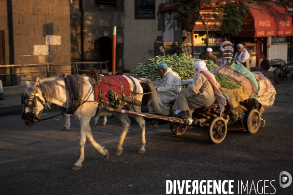 Le Caire des souks