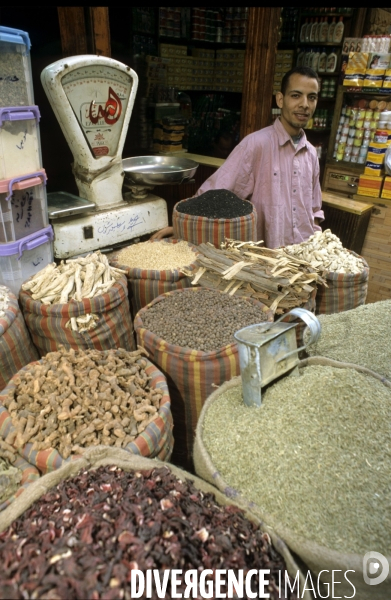 Le Caire des souks