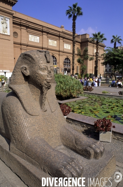 Le Caire des souks