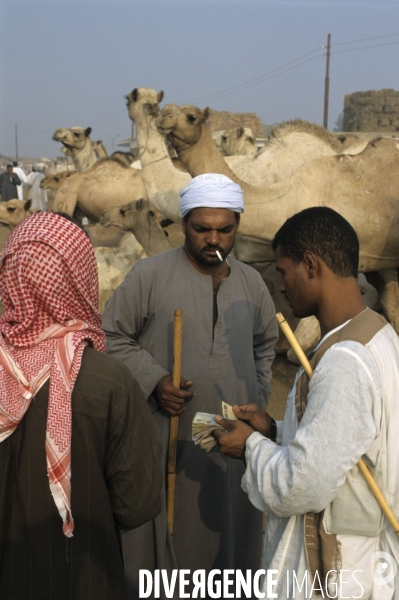 Le Caire des souks