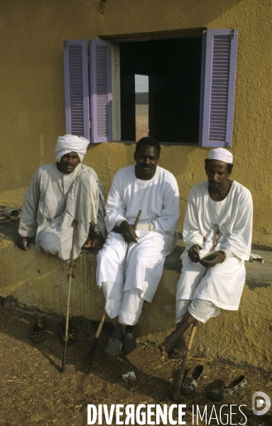 Le Caire des souks