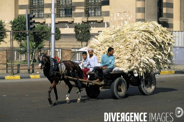 Le Caire des souks