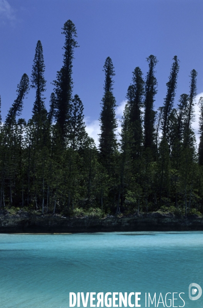 Le plus grand lagon du monde