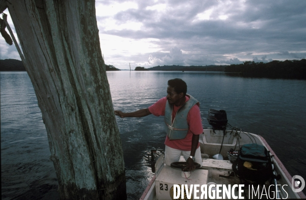 Scientifique du Smithsonian Institute en dinguy en plrein prelevemrenz sur le lac Chagres.PANAMA STRI