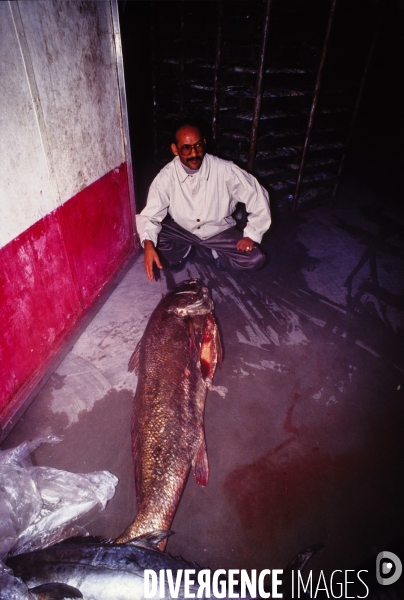 Surpeche dans les eaux africaines