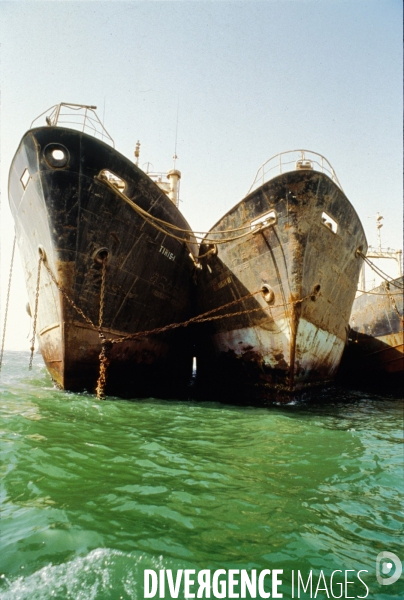 Surpeche dans les eaux africaines