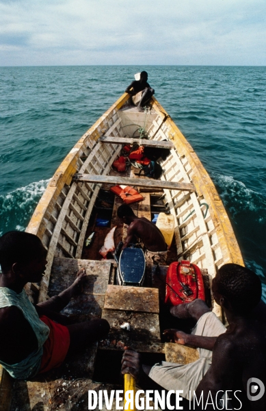 Surpeche dans les eaux africaines