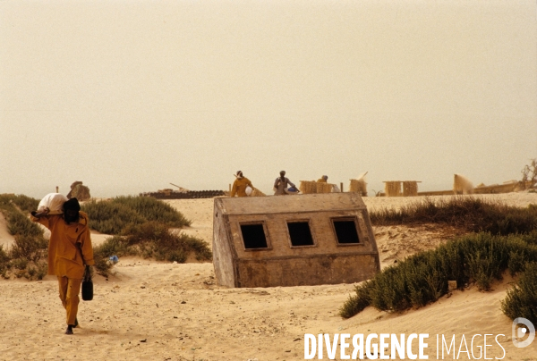 Surpeche dans les eaux africaines