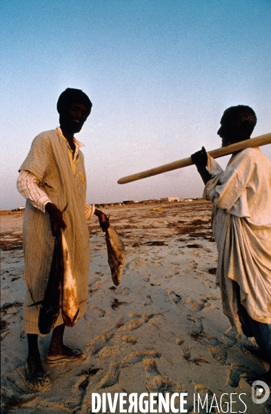 Surpeche dans les eaux africaines