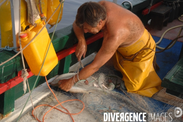 Peche en Mediterranee