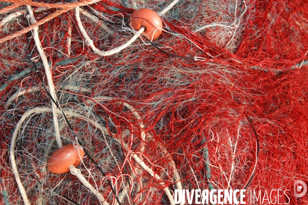 Peche en Mediterranee