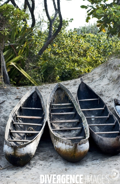 Filiere de la langouste: Ocean Indien