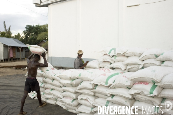 RIZ   Madagascar   dechargement du riz exporté d Inde