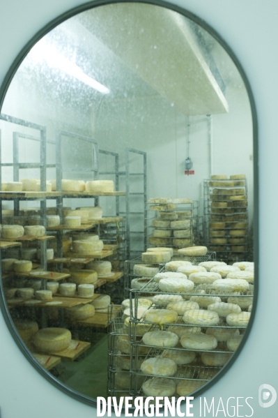 Produits laitiers ,  chez un fromager des Hautes Alpes