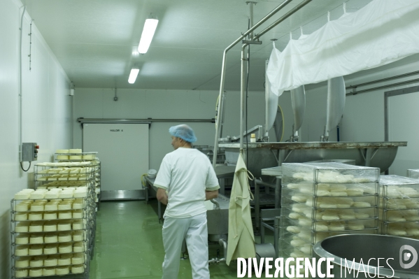 Produits laitiers ,  chez un fromager des Hautes Alpes