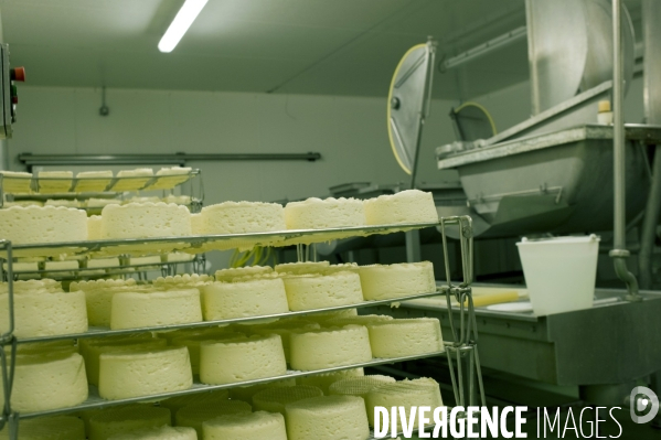 Produits laitiers ,  chez un fromager des Hautes Alpes