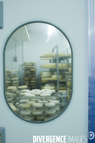 Produits laitiers ,  chez un fromager des Hautes Alpes