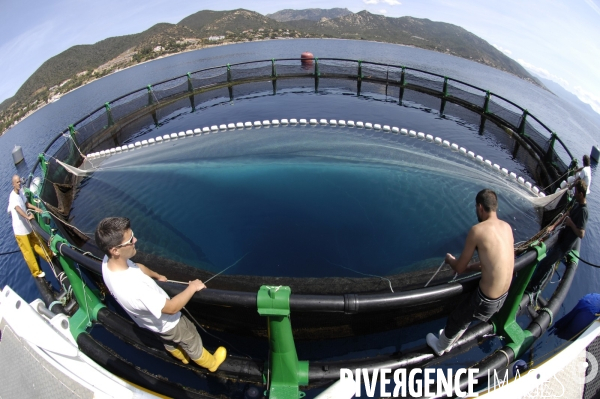 Aquaculture Parc aquacole