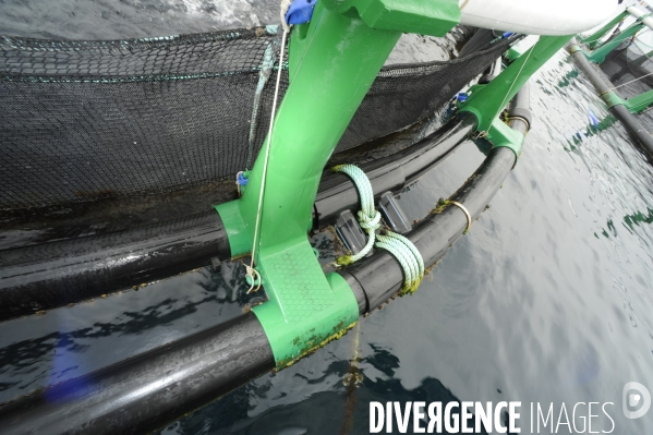 Pres d un poisson sur deux provient de l aquaculture