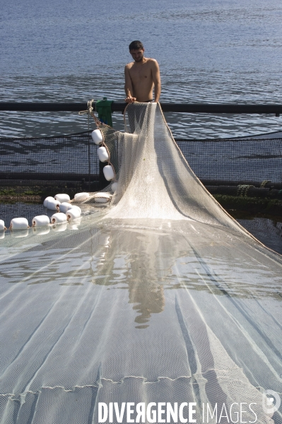 Pres d un poisson sur deux provient de l aquaculture