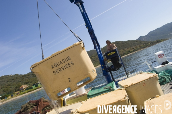 Pres d un poisson sur deux provient de l aquaculture