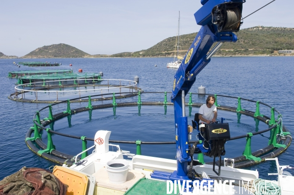 Pres d un poisson sur deux provient de l aquaculture