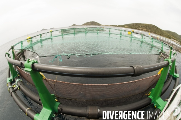 Pres d un poisson sur deux provient de l aquaculture