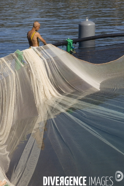 Pres d un poisson sur deux provient de l aquaculture