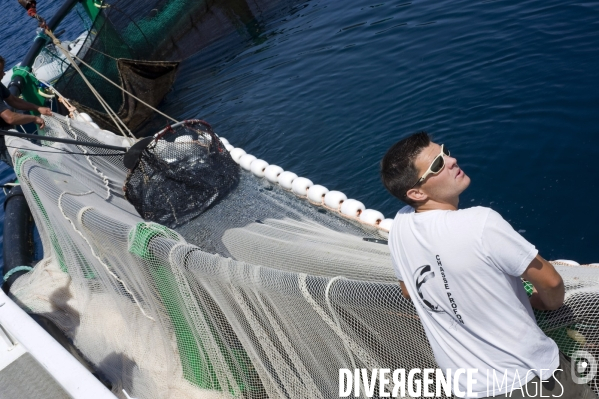 Pres d un poisson sur deux provient de l aquaculture