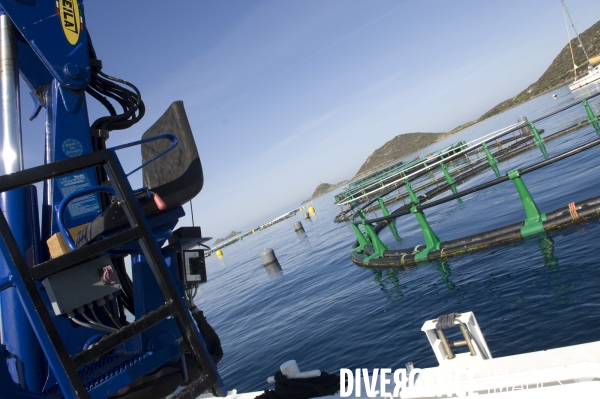 Pres d un poisson sur deux provient de l aquaculture