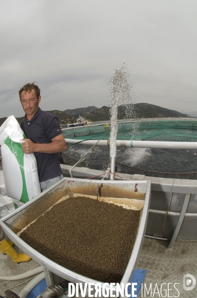 Pres d un poisson sur deux provient de l aquaculture