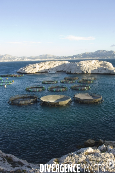 Pres d un poisson sur deux provient de l aquaculture