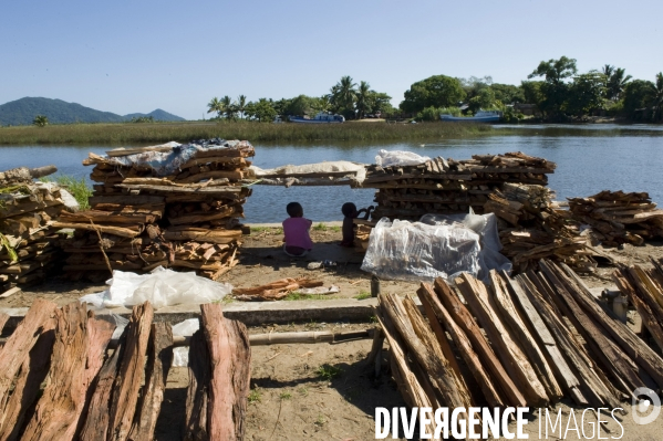 Madagascar :Les forets en peril ( UNESCO)