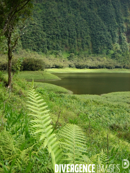 Ile de la reunion