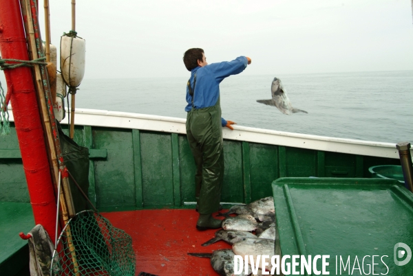 Le Lycee Maritime de Ciboure : formation de jeunes adolescents aux metiers de marins pecheurs