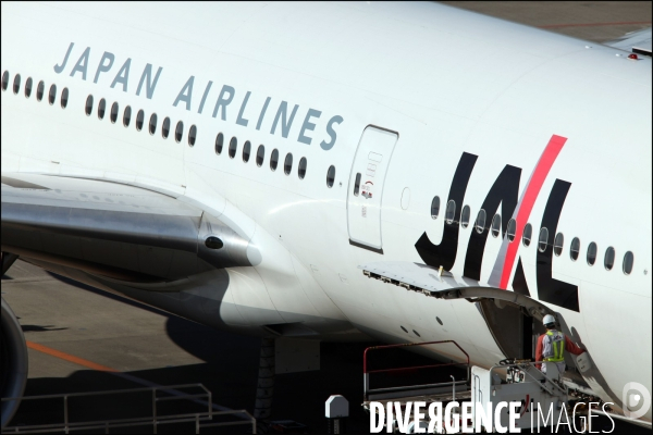 Illustration Japan Airlines Corp. / Japan Airline Corp. illustration